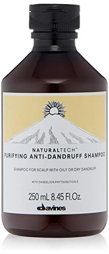 Davines Naturaltech Purifying Shampoo 250Ml