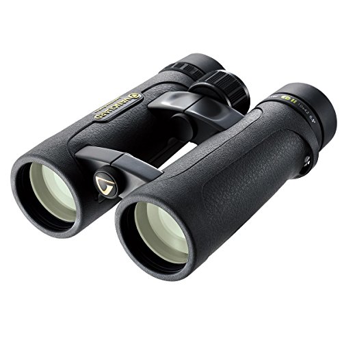 Vanguard Endeavor Ed Ii 1042 - Binocolo Ed 10X42, Per Osservazione