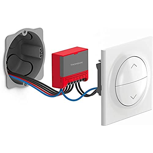 Modulo Di Controllo Wi-Fi Per Tapparelle E Tapparelle Compatibile Con Assiti Vocali