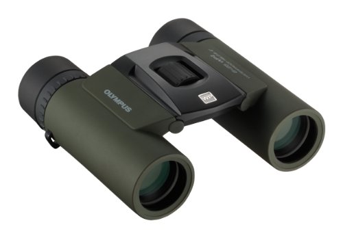 Olympus 8X25 Wp Ii Binocolo Amatoriale Impermeabile Compatto, Verde