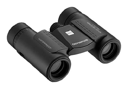 Olympus 10X21 Rc Ii Wp Binocular, Negro