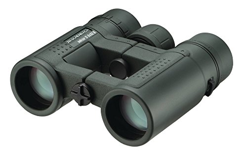 Eschenbach Optik Sektor D Binocolo, Nero, 10.9 X 11.6 X 4.2 Cm