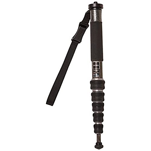Gitzo Gm2562T Traveler Serie 2 Monopiede, Grigio