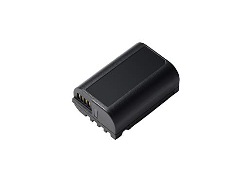 Panasonic Dmw-Blk22E
