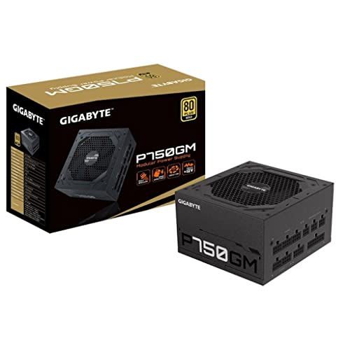 Gigabyte P750Gm Power Supply Unit 750 W 20+4 Pin Atx Atx Black