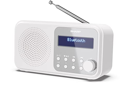Shap Dr-P420(Wh) - Radio Dab+/Dab/Fm Compatta E Portatile Con Streaming Audio Senza Fili Bluetooth E Alimentazione Tramite Usb O Batteria, Colore Bian