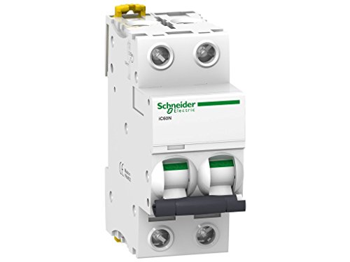 Schneider Electric Ic60N C-Type 2P Interruttore Automatico