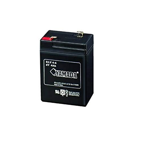 Batteria Al Piombo Ricaricabile Sigillata 6 Volt 4,2 Ah Marca Extracell