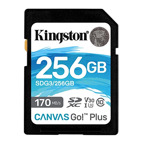 Kingston Sdg3/256Gb Scheda Di Memoria Sd (256Gb Sdxc Canvas Go Plus 170R C10 Uhs-I U3 V30)