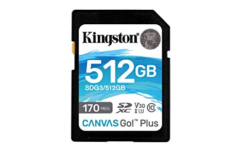 Kingston Sdg3/512Gb Scheda Di Memoria Sd (512Gb Sdxc Canvas Go Plus 170R C10 Uhs-I U3 V30)