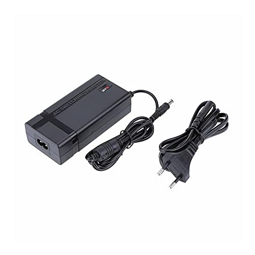 Skyrc Sk-200008 Adattatore E Invertitore Interno 60 W Nero
