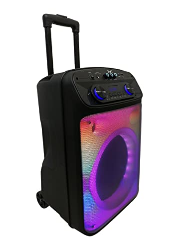 Majestic Flame T55 – Trolley Bluetooth 5.0, 7 Effetti Luci Led, Ingressi Usb/Aux-In/Mic, Microfono, Telecomando, Batteria, Funzione Tws, Impugnatura E