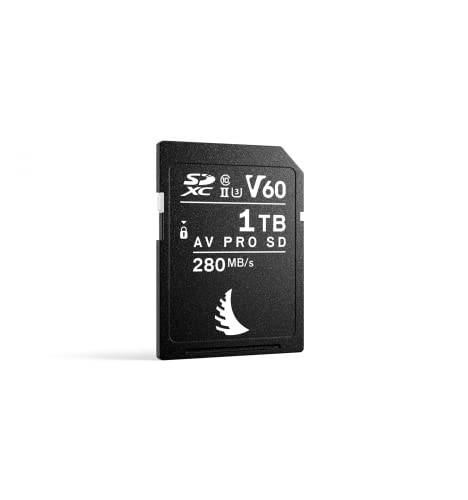 Scheda Di Memoria Angelbird Sdxc Uhs-Ii 1Tb V60
