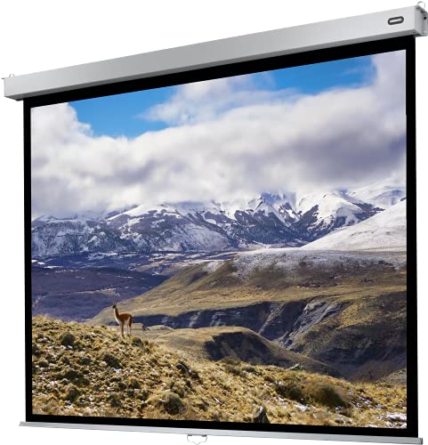 Celexon Schermo Di Proiezione Manuale 4K E Fullhd Con Ritorno Lento Della Tela Per Scuole, Aziende E Home Cinema Pro Plus - 280 X 210Cm - 4:3 - Guadag