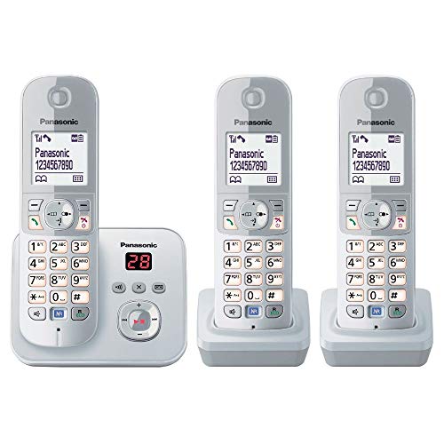 Panasonic Kx-Tg6823 Telefoni Dect Senza Fili [Importato Da Germania]
