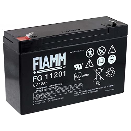 Fiamm Batteria Ricaricabile Al Piombo Fg11201 Vds, 6V, Lead-Acid