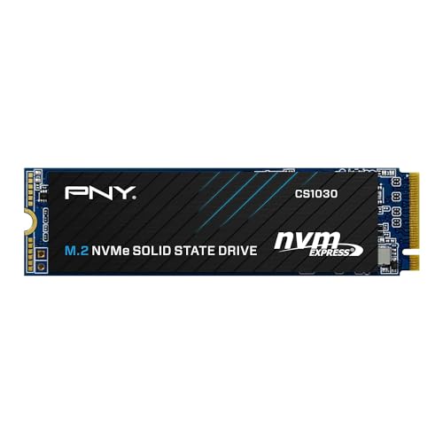 Pny Unit A Stato Solido Interna Cs1030 M.2 Gen3-250 Gb - Nvme (M280Cs1030-250-Rb)
