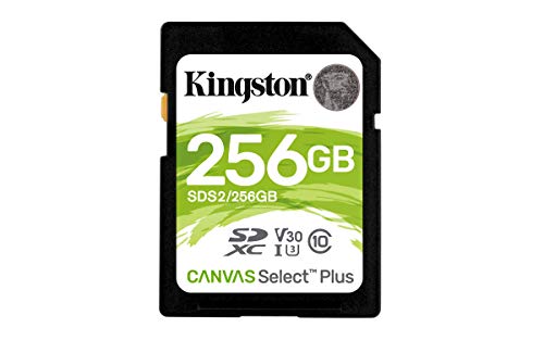 Kingston Canvas Select Plus Sd - Sds2/256Gb Class 10 Uhs-I