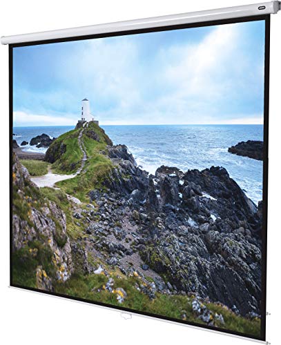 Celexon Manual Economy, Schermo Di Proiezione, Bianco, 1:1, Area Utile Di Proiezione 280 X 280 Cm