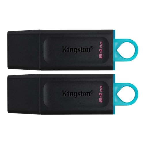 Kingston Datatraveler Exodia Dtx/64Gb-2P Flash Drive Usb 3.2 Gen 1 - Con Cappuccio Protettivo E Anello Portachiavi In Colori Multipli