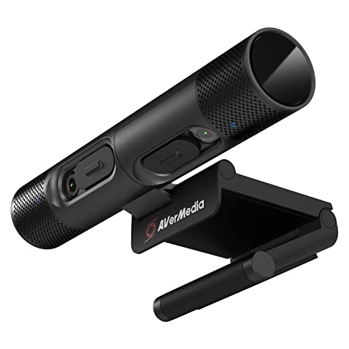 Avermedia Webcam, Dualcam Cam (Pw313D), Con Micro 61Pw313D00Ae