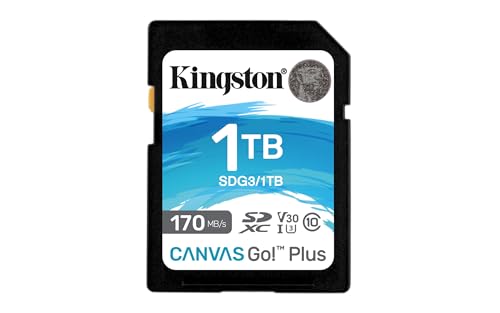 Kingston Canvas Go! Plus Sd Karten 1Tb Sdxc 170R C10 Uhs-I U3 V30