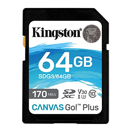 Kingston Sdg3/64Gb Scheda Di Memoria Sd (64Gb Sdxc Canvas Go Plus 170R C10 Uhs-I U3 V30)