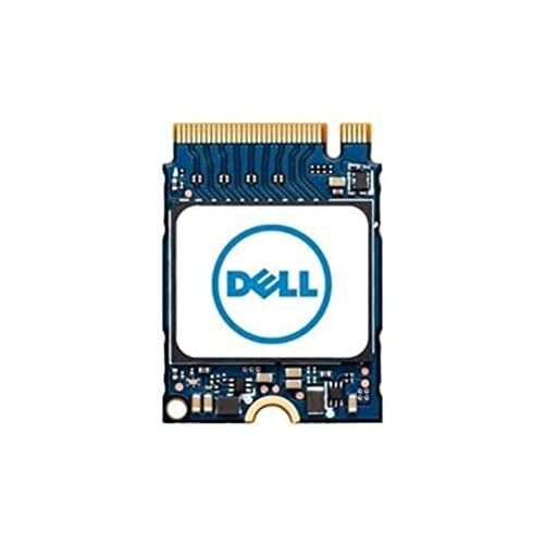 Dell Disco Duro M.2 Pcie Nvme Class 35 2230 Solid State Drive - 256Gb