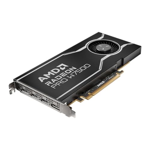 Scheda Grafica Amd 100-300000078