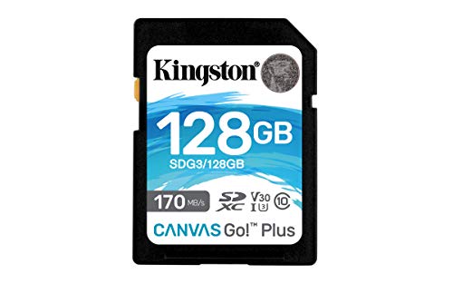 Kingston Sdg3/128Gb Scheda Di Memoria Sd (128Gb Sdxc Canvas Go Plus 170R C10 Uhs-I U3 V30)