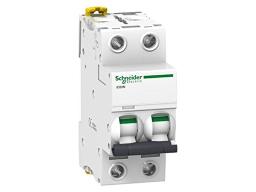 Schneider Electric Ic60N C-Type 2P Interruttore Automatico