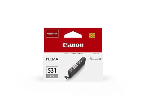 Canon Cartuccia Dinchiostro Cli-531 Gy Originale Singolo Grigio 6122C001 Cartuccia
