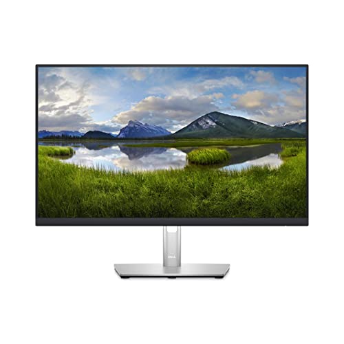 Dell P Series 24 Monitor - P2423D