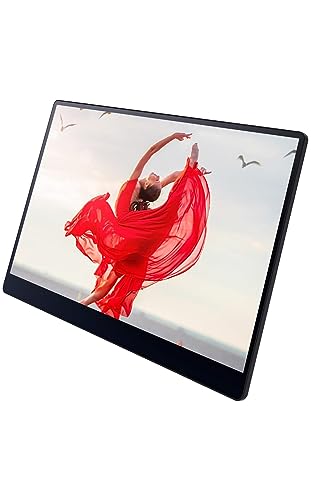 Ricoh 150Bw Monitor Portatile Wireless Da 15,6 Pollici, 1920X1080P, Tecnologia Oled, Usb Tipo-C, Leggero Con Touchscreen E 2 Altoparlanti Integrati, M