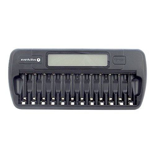 Processor Charger Everactive Aaa/Aa Nc-1200