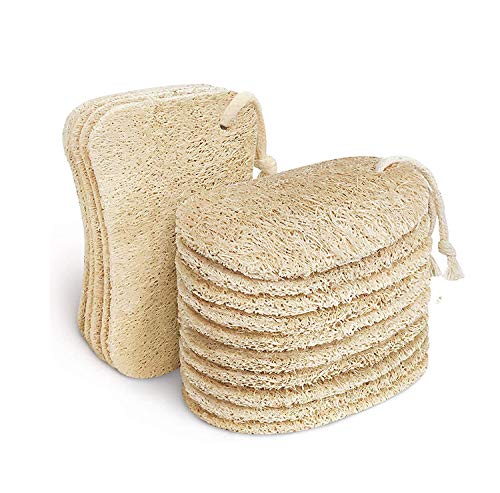 Aiyoyo 15 Psc Luffa Spugne Per Pulizia, Con Cordoncino, Natural Sponge Eco Per Cucina, Biodegradabili, Compostabili, Spugna Cucina Naturale