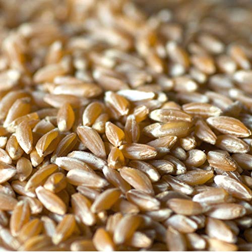Farro Perlato Confezione Da 1Kg - Offerta 10 Pezzi