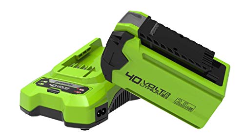 Greenworks Batteria Da 40 V 2.5 Ah G40B25 E Caricabatterie Universale G40Uc, Li-Ion 40 V 2.5Ah, Output 80 W/2 A, Adatto A Tutti Gli Attrezzi E Batteri