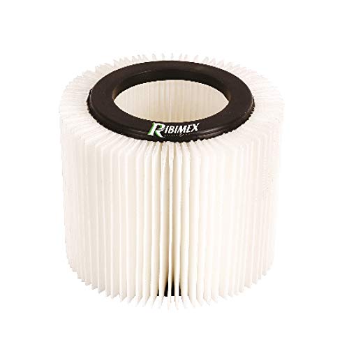 Ribimex - Prasp31Lpe/Hepa - Filtro Di Ricambio Per Aspirix 30L