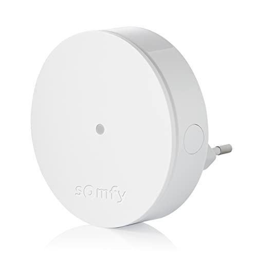 Somfy 2401495 - Ripetitore Radio Wireless Somfy Protect, Estende La Portata Radio, Compatibile Con La Gamma Home Alarm E Somfy One (+)