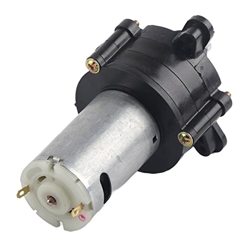 Generatore A Corrente Alternata In Miniatura A Corrente Alternata Generatore Di Energia Eolica Generatore Di Energia Dinamotore Per L'Insegnamento Dei