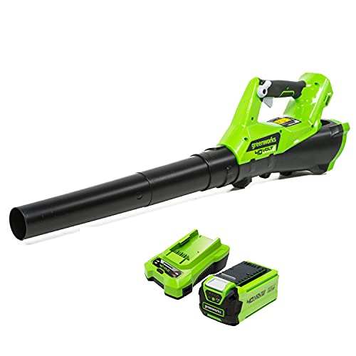 Greenworks G40Abk2 Souffleur À Batterie Axial De Feuilles Mortes Sans Fil, Avec Régulateur De Vitesse, 177 Km/H, 11,05 M³/Min, Batterie 40V 2Ah Et Cha