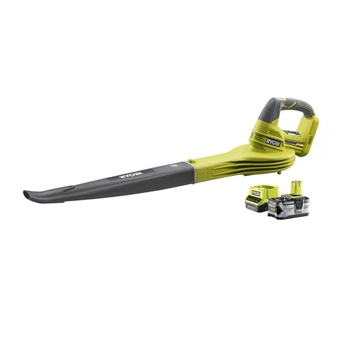 Soffiatore Di Batteria 18 V Con Batteria Da 4 Ah, Colore: Verde E Nero
