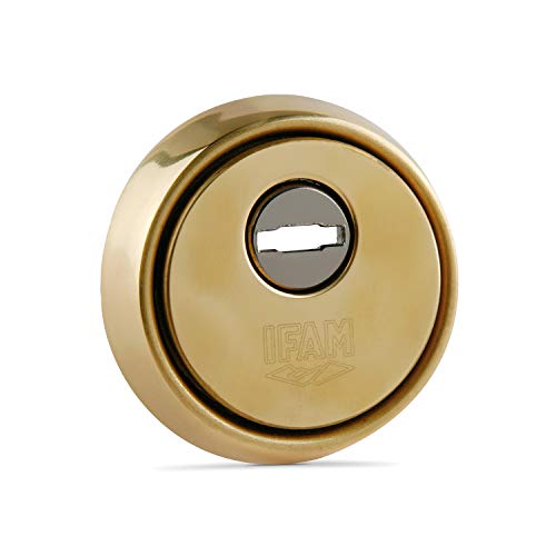 Ifam Scudo Di Sicurezza Es610, Sistema Antigascia E Antiprotezione, Piastra In Acciaio, Colore Ottone