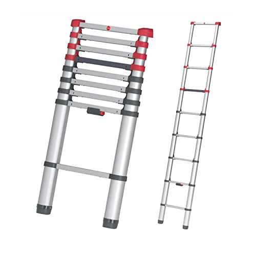 Hailo Scala Telescopica 7113091 – Argento (Pezzo)