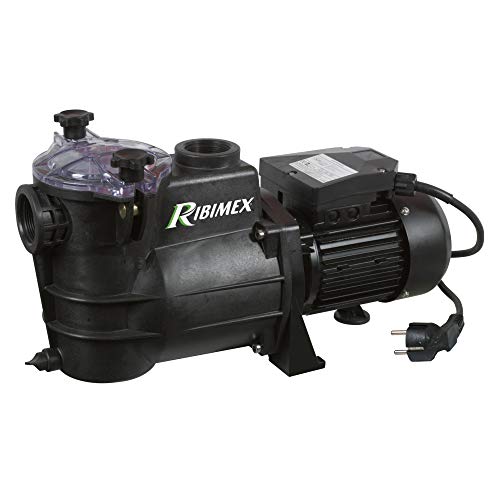 Ribimex Prswim550 Pompa Piscina 800 W, Nero, 175 L/Min