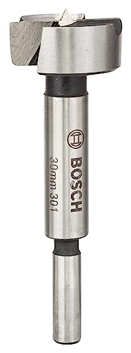 Bosch Accessories 2609255289 - Punta In Metallo Duro Per Fori Di Cerniere, 30 Mm Diametro