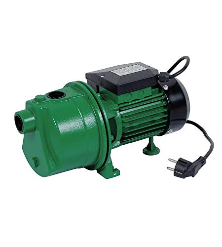 Ribimex Prjet61 Pompa Di Superficie Jet61, 600 W, Verde/Nero