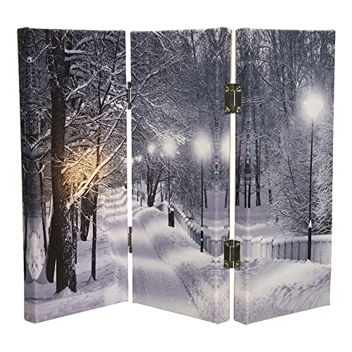 Cuadro Plegable Con Leds 2,8X48X38Cm 8Leds