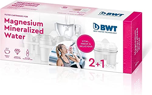 Bwt Filtro Pack 2+1 Longlife, Acrilico, Varios, 3 Unità (Confezione Da 1)